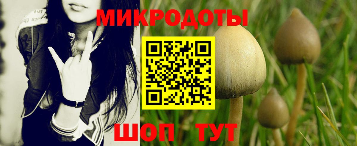 Галлюциногенные грибы GOLDEN TEACHER  закладка  Галлюциногенные грибы MAGIC MUSHROOMS  Вичуга  Вход с VPN 